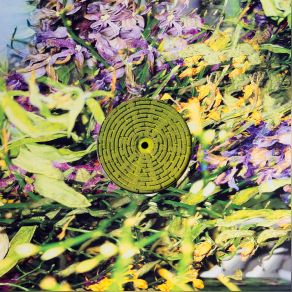 Download track Root Loop The Stone