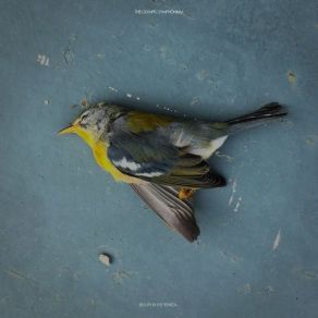 Download track The Middle The Olympic Symphonium