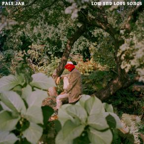Download track Floating On A Memory Pale Jay