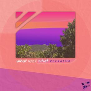 Download track Versatile What Was What
