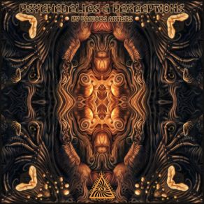 Download track I'm Frozen Chaos Machine