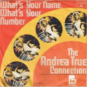 Download track What's Your Name, What's Your Number (Short Version) Andrea True Connection