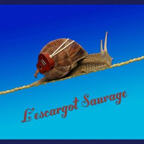 Download track Arthur L'escargot Sauvage