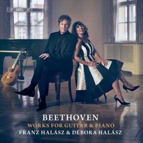 Download track 01. Serenade In D Major, Op. 41 (Arr. D. Halász For Guitar & Piano) I. Entrata. Allegro Ludwig Van Beethoven