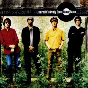 Download track It'S A Beautiful Thing Ocean Colour SceneP. P. Arnold