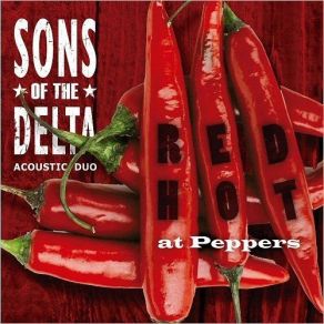 Download track Thirteen Question Method Sons Of The Delta