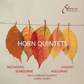 Download track Beethoven: Horn Quintet In F Major, Op. 17 (S. Comberti For Horn & String Quartet): II. Poco Adagio Quasi Andante Ondrej Vrabec, Pavel Bořkovec QuartetThe String Quartet