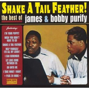Download track I Don't Want To Have To Wait Bobby & James Purify