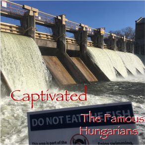 Download track You Pulled A Fast One The Famous Hungarians