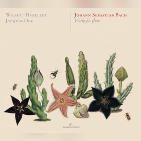Download track Organ Sonata No. 1 In E-Flat Major, BWV 525 (Arr. W. Hazelzet For Baroque Flute & Harpsichord): I. Allegro Moderato Wilbert Hazelzet, Jacques OggHarpsichord