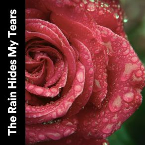Download track Writing In My Diary Sounds Of Nature White Noise Sound Effects