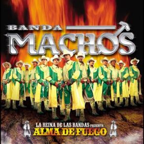 Download track No Soy De Palo