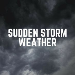Download track Commendable Rain Sounds Of Rain