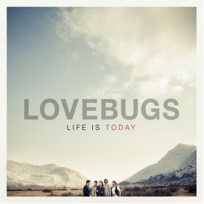 Download track Beautiful One Lovebugs