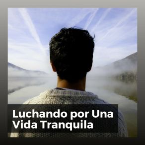 Download track Reflejo De Paz Música De Relajación Profunda