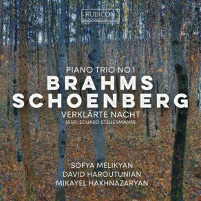 Download track 03. Piano Trio No. 1 In B Major, Op. 8 (1889 Version) III. Adagio David Haroutunian, Sofya Melikyan, Mikayel Hakhnazaryan