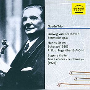 Download track Serenade D-Dur Op. 8, IV. Adagio - Scherzo. Allegro Molto Gaede Trio, Thomas Selditz