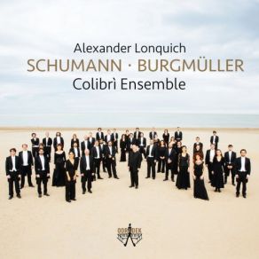 Download track Symphony No. 2 In D Major, Op. 11- III. Scherzo. Presto Alexander Lonquich, Colibrì Ensemble