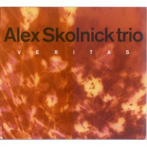 Download track Song Of The Open Road Alex Skolnick Trio