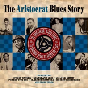 Download track Rollin' And Tumblin' (Part 1) Muddy Waters