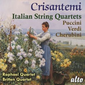 Download track String Quartet In E Minor: II. Andantino Raphael Quartet