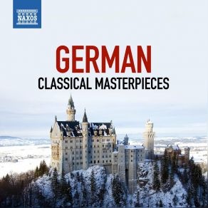 Download track Violin Concerto In D Minor, MWV O 3: III. Allegro Tianwa Wang