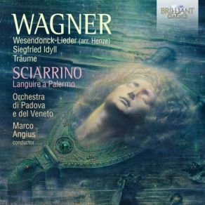 Download track Wagner Wesendonck-Lieder, WWV 91 II. Stehe Still! · Fermati! Orchestra Di Padova E Del Veneto, Marco Angius