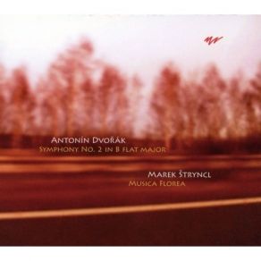 Download track 4. IV. Finale Allegro Con Fuoco Antonín Dvořák