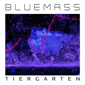 Download track Defrost Tiergarten