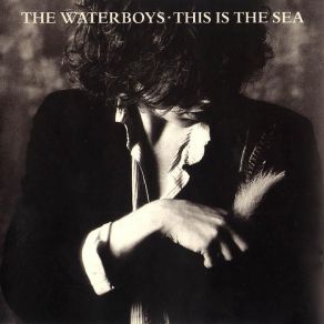 Download track Then You Hold Me The Waterboys