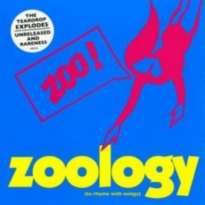 Download track The Tunnel The Teardrop Explodes