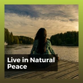 Download track Why Life Is Possible Nature Sounds Nature Music
