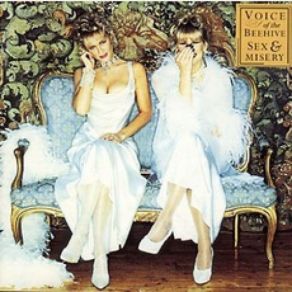 Download track Moon Of Dust Voice Of The Beehive