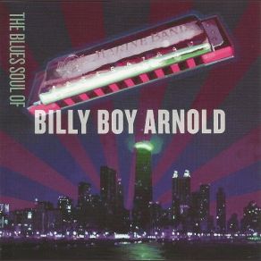 Download track Ain't That Just Like A Woman Billy Boy Arnold