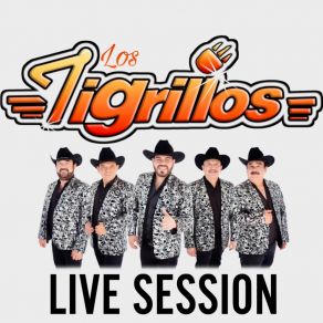 Download track Popurrí Las Preferidas De Los Tigres: En La Mesa Del Rincón / Rosita De Olivo / Carta Abierta (Live) Los Tigrillos