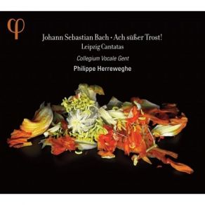 Download track 11 - V. Auf Gott Steht Meine Zuversicht Johann Sebastian Bach