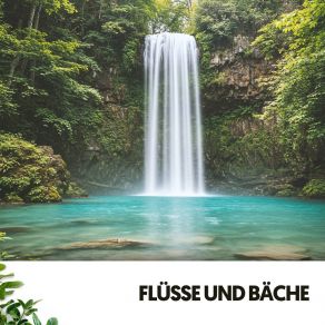 Download track Balancement De Poussière D'étoile Entspannungsmusik