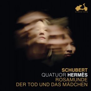 Download track String Quartet No. 13 In A Minor, D. 804