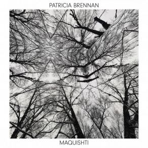 Download track Blame It Patricia Brennan
