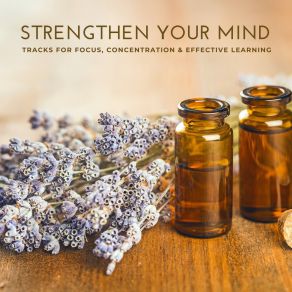 Download track Holiness Of Life Mental Relaxation Project
