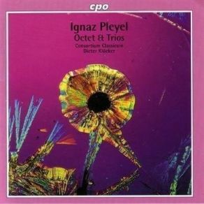 Download track 06. Trio Op. 10, No. 2 In D Major - Allegro Ignaz Pleyel