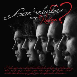 Download track Aldatıldık Arkadaş Gece Yolcuları