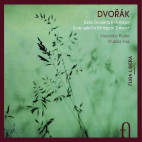 Download track Serenade For Strings In E Major, Op. 22, B. 52: V. Finale, Allegro Vivace Alexander Rudin, Musica Viva