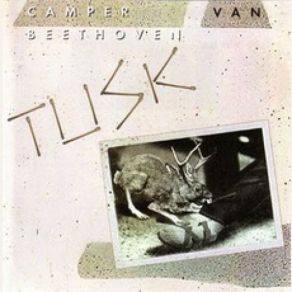 Download track Not That Funny Camper Van Beethoven