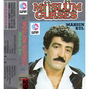 Download track Günahkar Oldum Müslüm Gürses