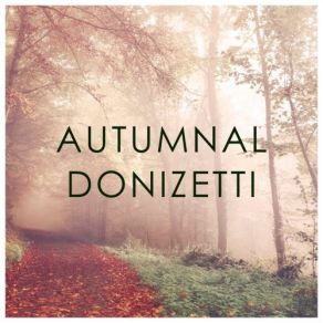 Download track Lucia Di Lammermoor - After Walter Scott / Act 1: