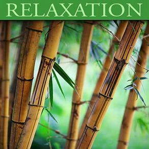 Download track Path To Enlightenment (Zen Escape) Dan Gibson'S Solitudes