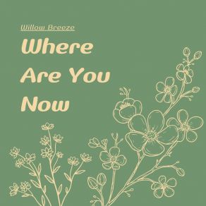 Download track You're A Liar Willow Breeze