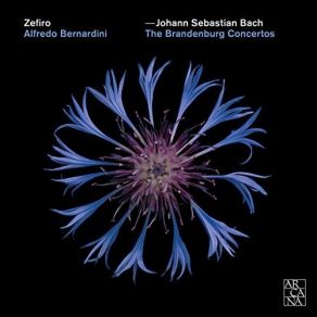 Download track 1-07 Concerto No. 2 In F Major, BWV 1047 - III. Allegro Assai Johann Sebastian Bach
