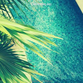 Download track Stellar Backdrops For Summer Holidays Calm Relaxing Jazz